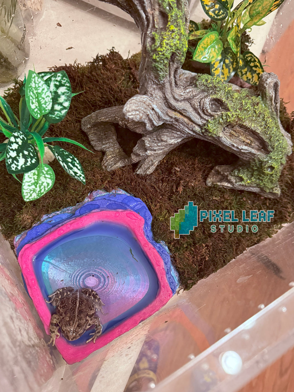 Rainbow Rock Pool – 3D Printed Terrarium Water Bowl
