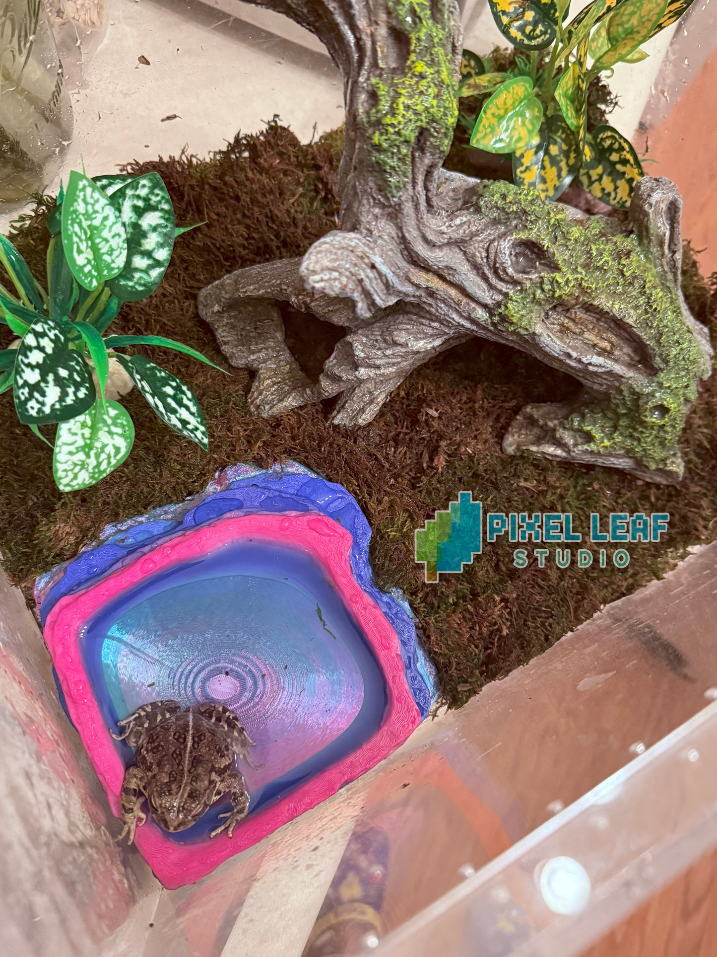 Rainbow Rock Pool – 3D Printed Terrarium Water Bowl